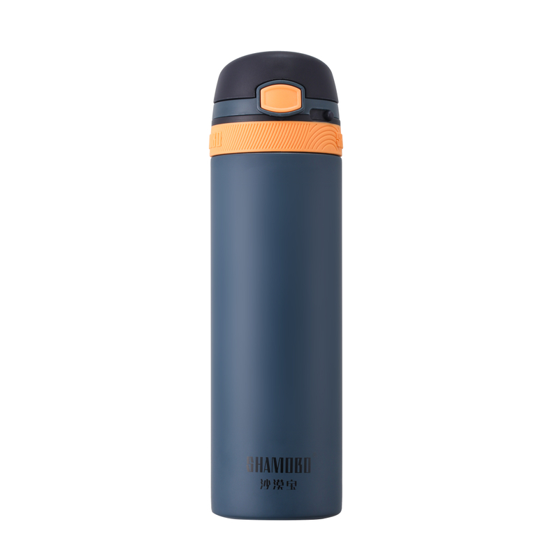 FLG 500ml Pale Blue Bottle